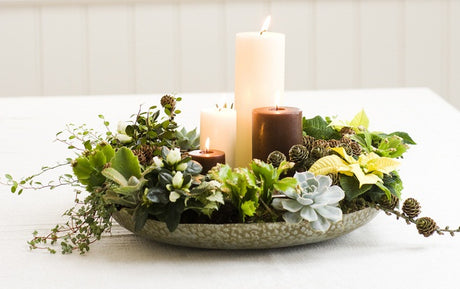 Adventsfat från Floradania: dekorativ adventsdekoration på bricka med levande blockljus, kottar och mossa samt miniväxter – novemberkaktus, fönsterazalea, pilea, echeveria, julstjärna och kamelhårskalankoe.