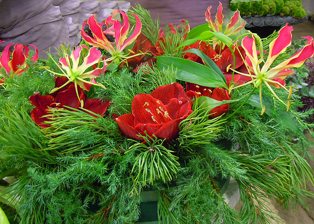 Adventskrans på oasisring: bordsdekoration med vintergrönt, gröna kvistar, bär och snittblommor – amaryllis och klanglilja – kompletterad med ljushållare och rosett för jul.