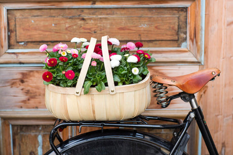 Bellis (tusensköna) i färgstarkt vårarrangemang med penséer – robust, flerårig vårblomma för krukor, balkong och altan; passa ihop med pensé Cool Wave och hornviol.