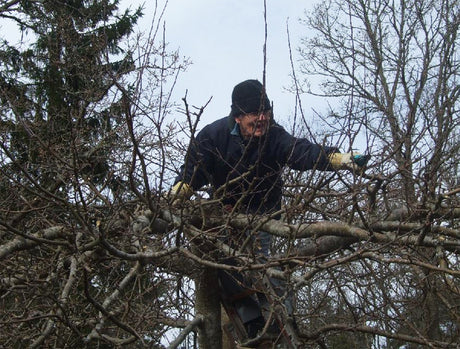Ulla Johansson – Trädgårdens eldsjäl 2012 i Trollhättans Trädgårdsförening; ideellt engagerad trädbeskärare och kursledare i pilflätning, prisad av Riksförbundet Svensk Trädgård och Gunnel Carlson