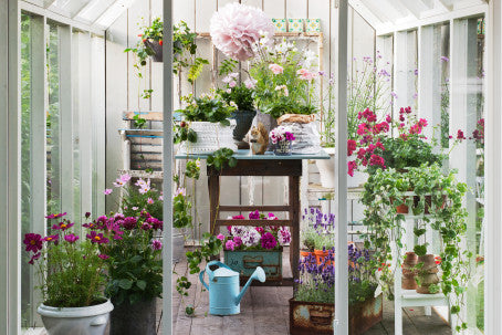 Växttrender 2013 – Klappat och klart: romantiskt och klassiskt blomsterarrangemang i ljusa pasteller med hortensia, azalea, pelargon, ranunkel och begonia; säsong, hälsa och helhetskoncept – Blomsterfrämjandet, foto Anna Skoog