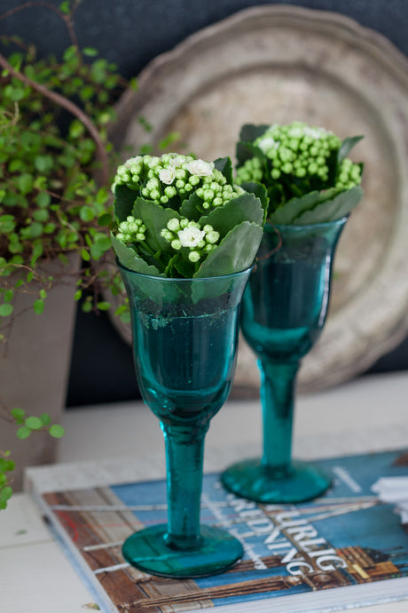 Miniväxter – Våreld (Kalanchoe blossfeldiana/Calandiva) i små krukor på bricka, lättskött och torktålig centerpiece för fönsterbräda och festlig dukning