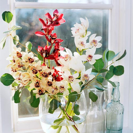 Cymbidium-orkidé i elegant, hållbart snittblomsarrangemang – exotisk lyx för dynamiska buketter i modern och klassisk stil, ideal för bröllop.