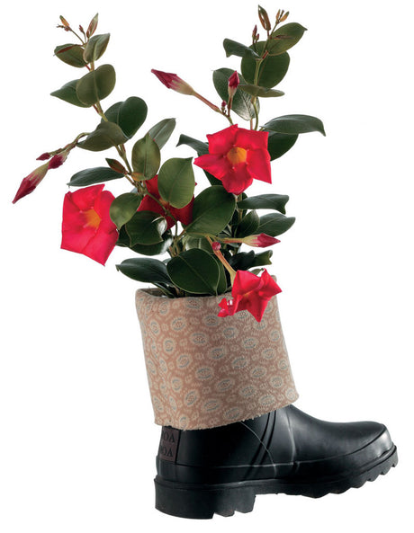Dipladenia (Mandevilla), rikblommande och lättskött bägarranka med blanka blad och trumpetformade blommor, ideal för kruka, balkong och rabatt i soligt läge.