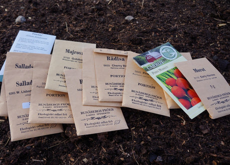 Direktsådd i kallväxthus i februari: rader med spenat, rucola och vintersallat under fiberduk – tidig växthusodling med ekologisk odling, förkultivering i pluggbrätten och smart samplantering inför tomater och paprika.
