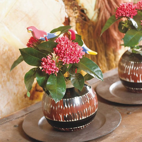 Eldboll (Ixora hybrid) – färgstark tropisk krukväxt med klotformade blomklasar i rött, orange, rosa eller gult; trivs i minst 20°C, mycket ljus och jämnt fuktig, väldränerad jord; ideal i glasat burspråk eller växthus.