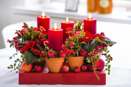 Asymmetrisk adventskrans som adventsdekoration med terrakottakrukor och miniväxter: minijulstjärnor (Euphorbia pulcherrima), Kristi törnekrona (Euphorbia milii) och Dischidia ruscifolia, med blockljus, paradisäpplen och järnek – modern julinspiration.