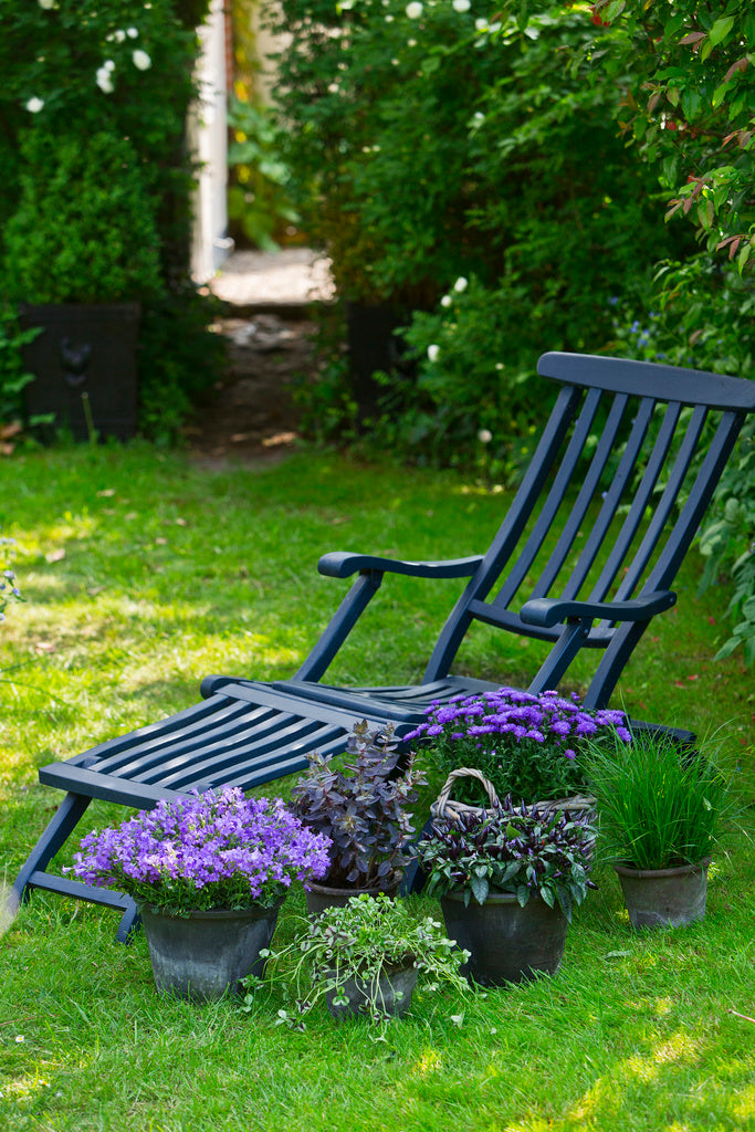 Matcha årstiden: sensommarplantering i krukor med Campanula, Sedum, Aster, Carex, Capsicum och Trifolium – harmoniskt arrangemang i dova, blå/lila/brända färgtoner.