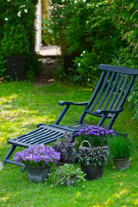 Matcha årstiden: sensommarplantering i krukor med Campanula, Sedum, Aster, Carex, Capsicum och Trifolium – harmoniskt arrangemang i dova, blå/lila/brända färgtoner.