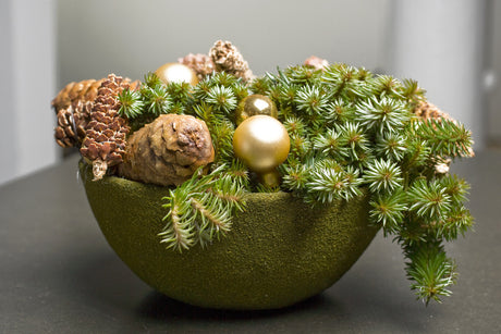 Grön julgåva: hållbart jularrangemang från Floradania med julstjärna, amaryllis och hyacint, dekorerat med kottar, mossa och naturliga material – doft och smak av jul med kardemumma och vaniljeorkidé.