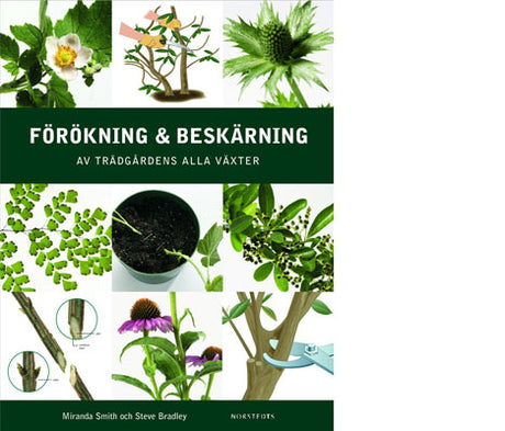 Förökning och beskärning av trädgårdens växter – steg-för-steg: sticklingsförökning, frösådd, delning, ympning samt uppbyggnads-, underhålls- och föryngringsbeskärning i svenska förhållanden.