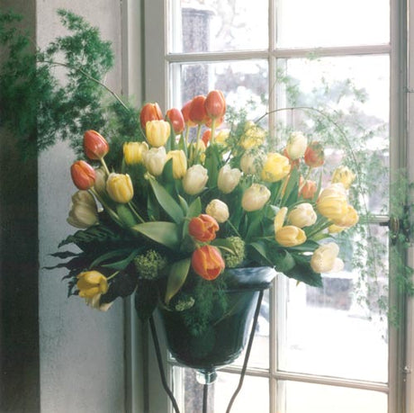 Fräscha, krispiga tulpaner i bukett – svenskodlade snittblommor och vårblommor. Papegojtulpaner och dubbla tulpaner, växthusodlade för hållbar odling.