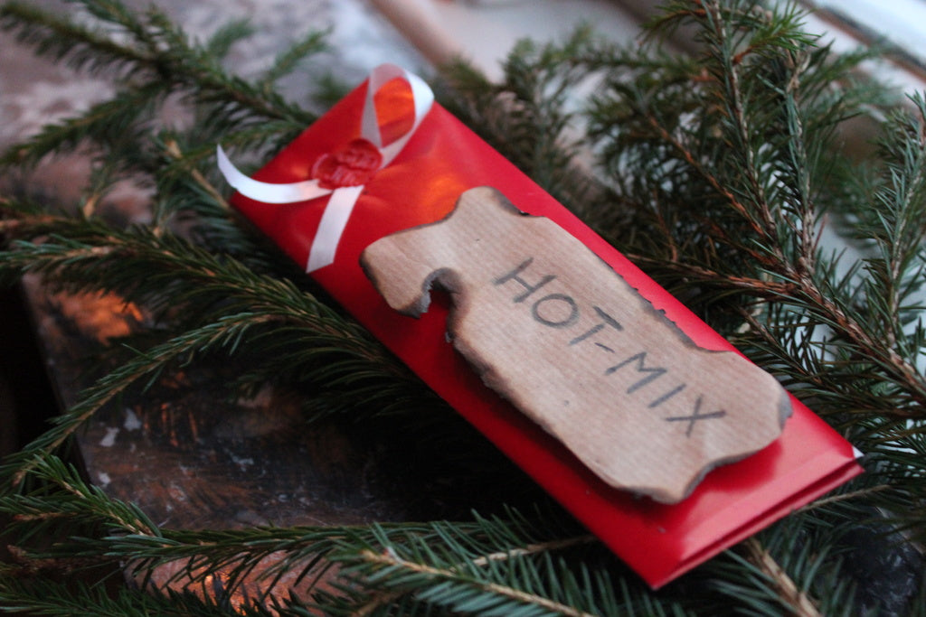 DIY fröpåsar till jul – steg-för-steg guide för vikning av egen fröpåse; pyssel för trädgård och odling, klimatsmart och hållbar julklapp med fröer (tomat, paprika, chili) och såanvisningar.