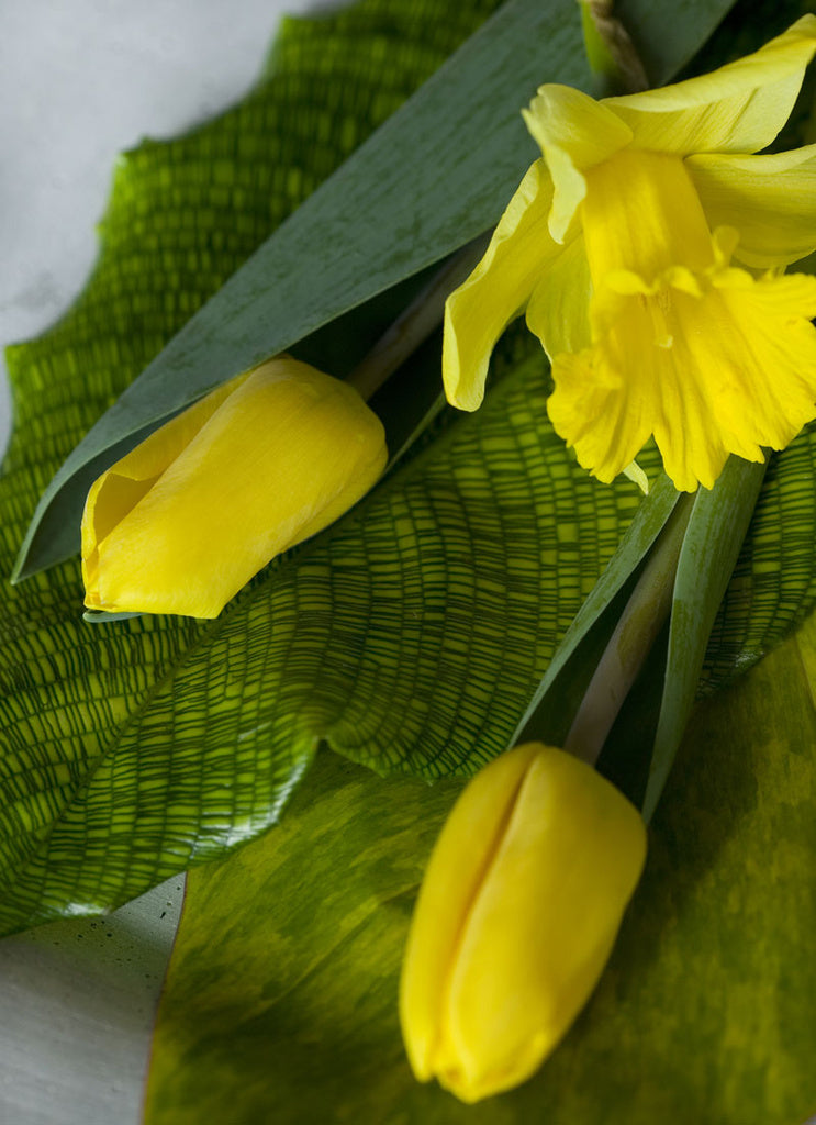 Gult och grönt vårarrangemang med Tête‑à‑Tête‑narcisser/påskliljor i kruka – påskblommor för inne och ute; lökväxter som trivs svalt.