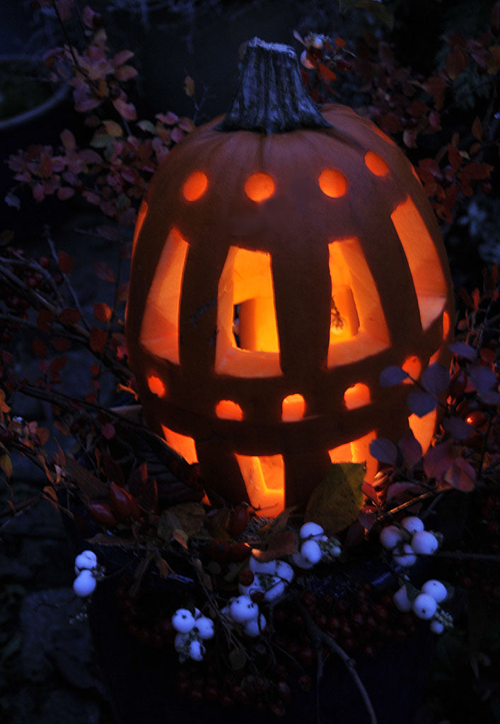 Neutral pumpalykta för hela hösten med runda hål gjorda med äppleavkärnare – dekorativa pumpamönster för Halloween och höstpynt.