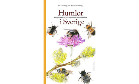 Bokomslag: Humlor i Sverige – 40 humlearter av Bo Mossberg och Björn Cederberg; svensk artguide med akvareller om humlor, snylthumlor och pollinatörer för trädgård, natur och biologisk mångfald (Bonniers Fakta 2012).