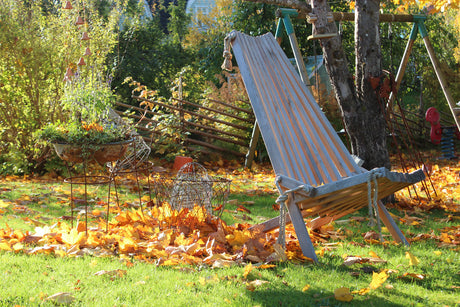 Höstens bästa trädgårdstips: rensa ogräs, plantera höstlökar med benmjöl i väldränerad jord, höstgödsla, höstså i oktober, plantera vitlök, övervintra dahlior och sköta krukväxter.