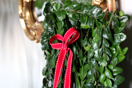 Buxbomstavla till jul – gör det själv med hönsnät, buxbom och limpistol; tät grön juldekoration pyntad med rosett, fin ihop med hyacinter och amaryllis.