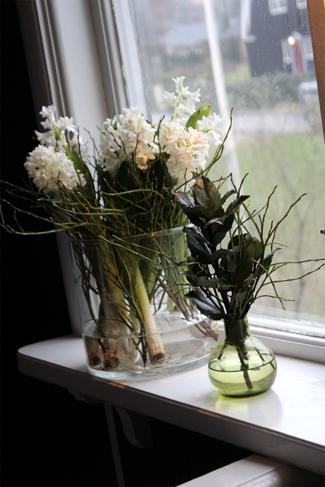 Julens blommor – amaryllis och hyacinter som snittblommor och på lök i vintergrönt arrangemang med mossa och blåbärsris; hållbar jultradition där du återanvänder lökarna till våren.