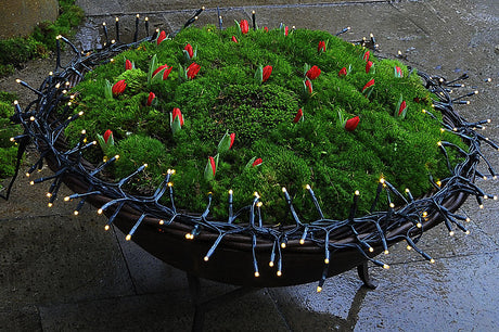 LED-belysning och flerdubbel ljusslinga runt mossarrangemang med små röda jultulpaner i gjutjärnsgryta – stämningsfull dekorationsbelysning i trädgården utomhus.