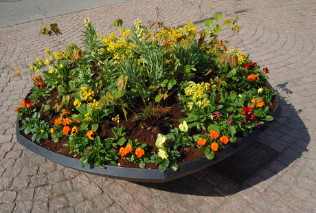 Dubbel glädje med perenner i kruka: bred fatformad vårplantering med sockblomma Epimedium 'Amber Queen', klocklilja Fritillaria persica 'Ivory Bells', penséer i varma toner och gullviva Primula veris.