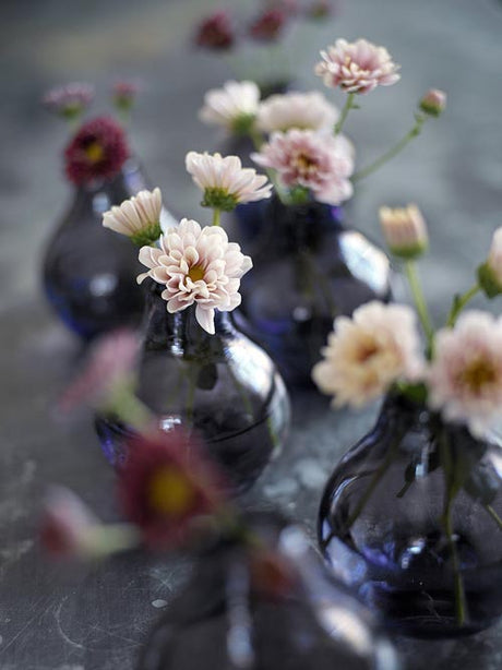 Krysantemum (Chrysanthemum), guldblomma i familjen Asteraceae – tålig hybrid från Japan och Kina; mångsidig höstblomma i många färger, populär som snittblomma och krukväxt med lång hållbarhet och luftrenande egenskaper.
