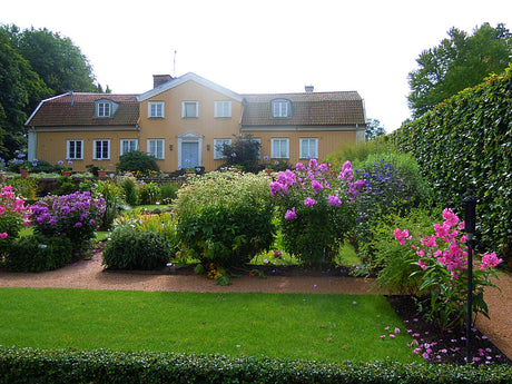 Göteborgs Landeriträdgård i Göteborgs botaniska trädgård – parterr och tapetrabatt med buxbom, formklippta häckar och historiska perenner; kulturhistoriskt Grönt Kulturarv, Programmet för Odlad Mångfald (POM)
