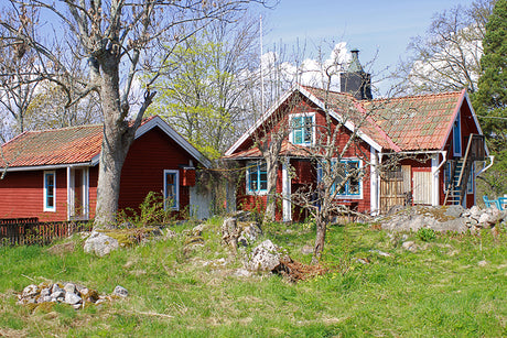 Trädgårdsarbete på naturtomt i Småland: rensa sly, björnbärssnår och brännässlor med sekatör – Låtta Skoghs krönika om less is more på samägt sommarställe i naturreservat.