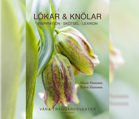 Bokomslag till Lökar & knölar – inspiration, skötsel och lexikon om lök- och knölväxter; praktiska råd för plantering, odling, förvaring och övervintring. Marie & Björn Hansson, Norstedts 2013.