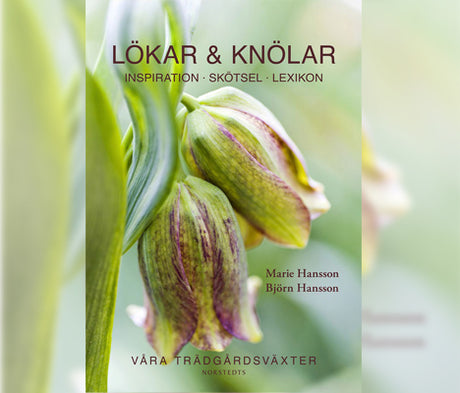 Bokomslag till Lökar & knölar – inspiration, skötsel och lexikon om lök- och knölväxter; praktiska råd för plantering, odling, förvaring och övervintring. Marie & Björn Hansson, Norstedts 2013.