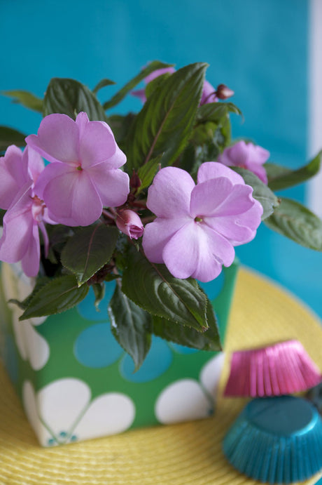 Lyckliga Lotta i trendig inredning – svensk blomsterspråket: blå blomma symboliserar evig trohet, grönt står för hopp; vårens blå och gröna toner med romantiska mönster.
