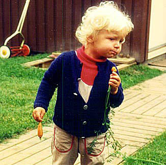 Martin skördar morötter – närodlat och giftfritt i barnens trädgård; odla med barnen i pallkrage för hållbar odling och snabb skörd av sommarmorötter.