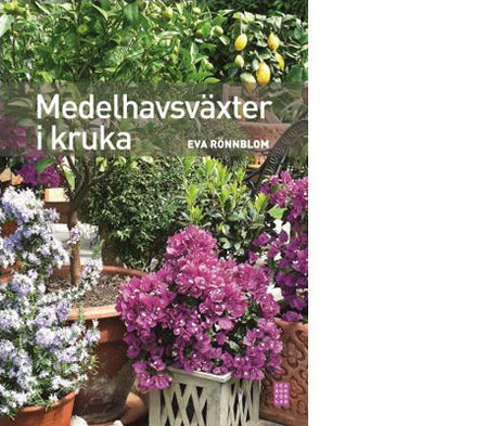 Medelhavsväxter i kruka på balkong eller terrass: oliv, rosmarin, citrus, fikon, lager, lavendel och myrten – krukodling med skötselråd, rätt jord och övervintringstips.