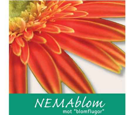 NEMAblom – miljövänlig, giftfri bekämpning av blomflugor i krukväxter med nematoder (Steinernema feltiae) mot sorgmyggor och vattenflugors larver i krukjord inomhus.