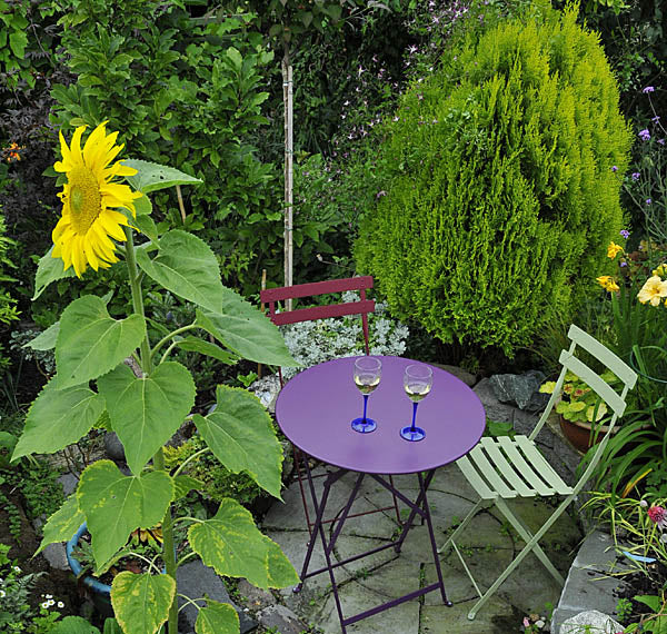 Swedish garden furniture rule for daylight saving time: new garden furniture with sunflower, sommartid mnemonic to move clocks forward in spring (fram) and back in autumn (tillbaka) in Sweden.