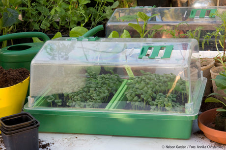 Nelson Garden minidrivhus (miniväxthus) i hårdplast med transparent lock och justerbar ventilationslucka – idealiskt för förodling, frösådd och sticklingsförökning i sålådor, krukor och briketter; jämn fuktighet och skyddad groning.