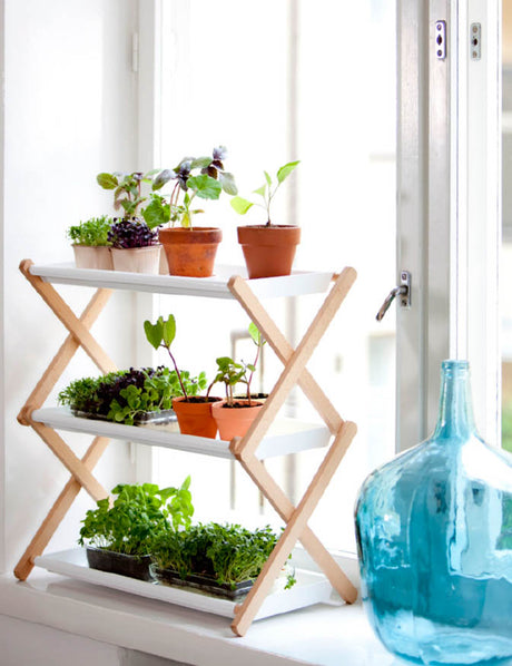 Odlingshylla Gröna Hyllan från Hasselfors Garden – hopvikbar, modern odlingshylla i bokträ och vitlackerad metall (60x54x33 cm) för hobbyodling, plantuppdragning och sticklingar i hemmet.