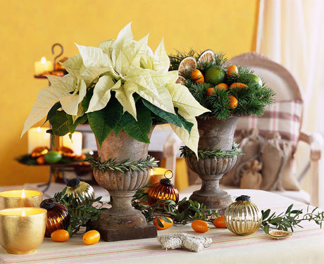 Vit jul med julstjärna (poinsettia) i naturnära dekoration av återbrukade material – inspiration, trender och tips för personlig julinredning.