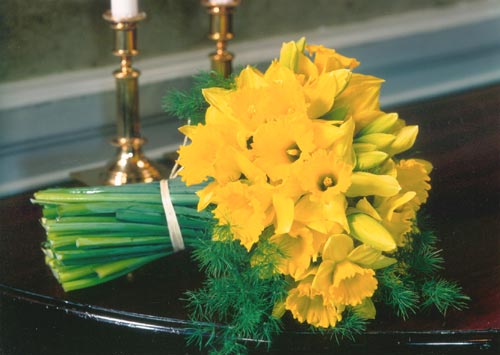 Påskliljor (narcisser) som snittblommor i bukett och i kruka, Tête-à-Tête, vårblomma för påskdekoration som symboliserar hopp och förnyelse