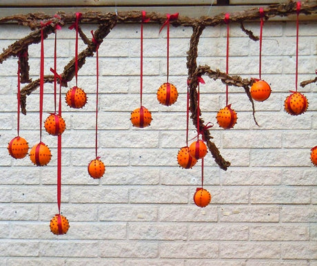 Modern pomander med apelsiner och hela kryddnejlikor, bundna med julrött sidenband på gren – juldoftande dekoration och naturlig luftfräschare, perfekt som centerpiece.