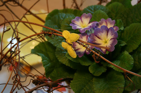 Lila Primula (jordviva) i fokus – färgstarka blomstertrender där tradition möter lekfullhet, kurbits- och Dalarna-inspirerad inredning för hem och trädgård med naiva och kitschiga detaljer; perfekt som Månadens Blomma i februari.