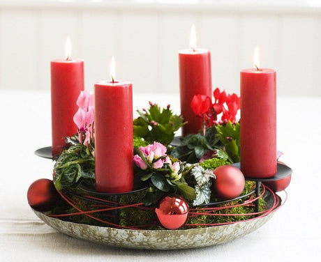 Klassisk röd adventskrans med levande växter – julstjärna, novemberkaktus, cyclamen, rexbegonia och mosslummer – med fyra ljus som säker bordsdekoration, inspirerad av danska Floradania.