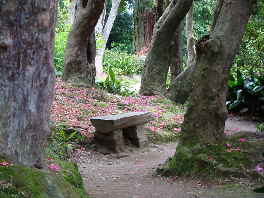Rododendronskogen i Villa Carlottas nyklassiska trädgård vid Comosjön (Lago di Como) i Cadenabbia, Lombardiet – blommande rododendron i italiensk botanisk park.