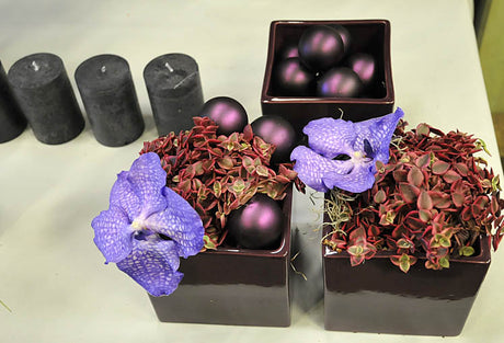 Julens blomstertrender 2024–2025: purpurfärgat arrangemang med matchande Sedum och orkidé Vanda 'Blue Magic' i fyrkantiga krukor, purpurfärgade julbollar och mörkgråa blockljus – modern, stilren juldekoration.