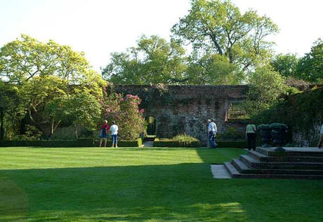 Sissinghurst – tät, grön och ogräsfri gräsmatta som vacker ram kring perennrabatter; väldränerad, lätt sandig jord samt vattning, gödsling och klippning minskar mossa och svampar som häxringar och snömögel.