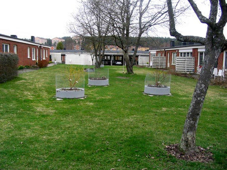 Skydd mot fyrfotingar i trädgården: kycklingnät runt nyplanterat fruktträd som rådjur- och harstopp för att förebygga gnagskador. Höstförberedelser: beskärning, flytta buskar, dela perenner, vinterskydd, vattning av tujor, skydd mot snömögel och sork.
