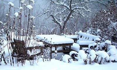 En jul utan snö i Skåne – vinter i södra Sverige. Trädgård och odling: planera odlingsåret 2012, driva fröer inomhus, fröerbjudanden med blomsterfröer på Odla.nu och i Odlashopen.