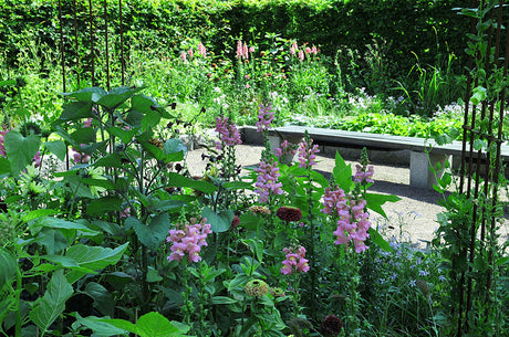 Komposition av sommarblommor i Göteborgs botaniska trädgård: solrosor, lejongap, tobaksplantor, dahlia ’Karma Chock’ och zinnia ’Queen Red Lime’ i temat Böjelser och begär, färgskala limegult, gammalrosa, chokladbrunt, design Birgitta Hagelin.