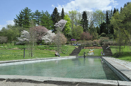 Spegeldammen i Göteborgs botaniska trädgård – anlagd 1925, restaurerad ikonisk mittpunkt med Carl Milles vattensprutande najad, perspektivbyggnad av Lars Israel Wahlman och färggranna näckrosor.
