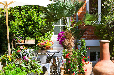 Medelhavsinspirerad terrass med rustika krukor, bougainvillea, hibiskus och bägarranka samt utomhuspalmer (Trachycarpus wagnerianus) – sydländsk stämning och sommarkänsla